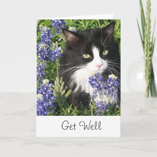 Krijg goed Kaart Tuxedo Cat in Texas Bluebonnet (Voorkant)