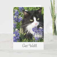 Krijg goed Kaart Tuxedo Cat in Texas Bluebonnet