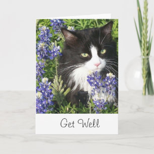 Krijg goed Kaart Tuxedo Cat in Texas Bluebonnet
