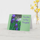 KRIJG GOED / PAARSE IRISSEN, "JE BENT IN ONZE GEDA KAART (Gele Bloem)