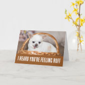 Krijg goed schattig hond chihuahua gevoel roos kaart (Gele Bloem)