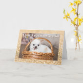 Krijg goed schattige hond chihuahua gouden glinste kaart (Gele Bloem)