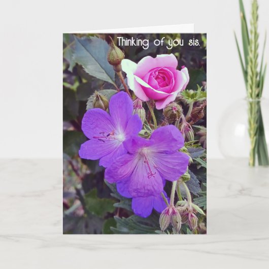 Krijg goed snel herstel zusterkaart feestdagen kaart (Voorkant)