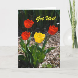 Krijg goed Tulpen Kaart