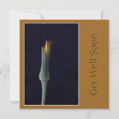 Krijg snel goed Bloemen Gouden Bruine tinten Kaart (Voorkant)