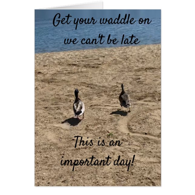 ***KRIJG UW WADDLE OP** EENDEN ZEGGEN "GEWELDIG GE (Voorkant)