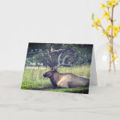 "Krijgend de Oude" Kaart van de Verjaardag (Gele Bloem)