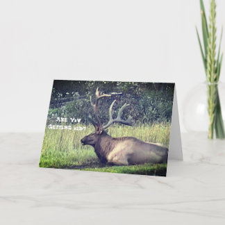 "Krijgend de Oude" Kaart van de Verjaardag