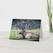 "Krijgend de Oude" Kaart van de Verjaardag (Voorkant)