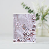 Krijger Amerikaanse Roodborst in Winter Briefkaart (Staand voorkant)