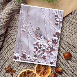 Krijger Amerikaanse Roodborst in Winter Briefkaart