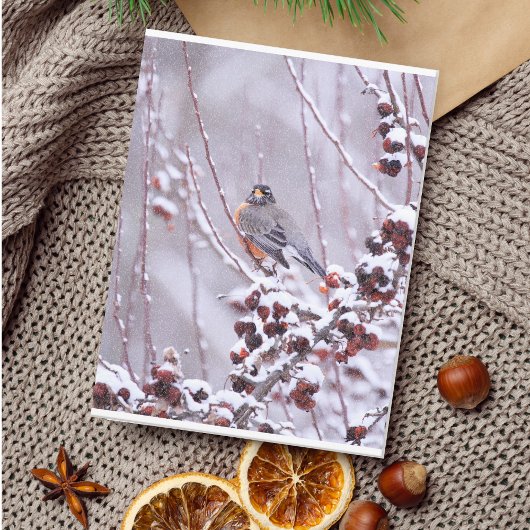 Krijger Amerikaanse Roodborst in Winter Briefkaart