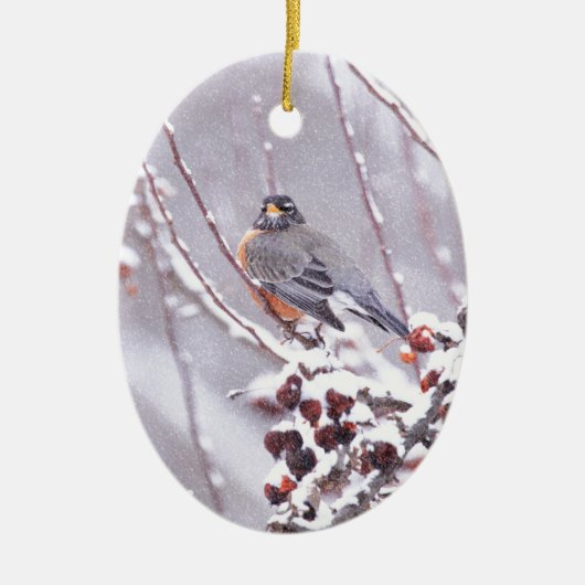 Krijger Amerikaanse Roodborst in Winter Keramisch Ornament (Voorkant)
