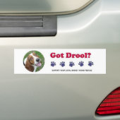 Krijgt Kwijl Bumpersticker (Op auto)