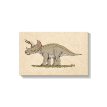 Krijt-dinosaurus Triceratops