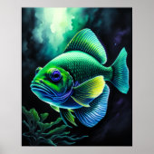 Krijt Tekening van Vissen op Zwart VII Poster (Voorkant)