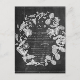 krijtbord scripts Franse botanische kunst ivy blad Briefkaart