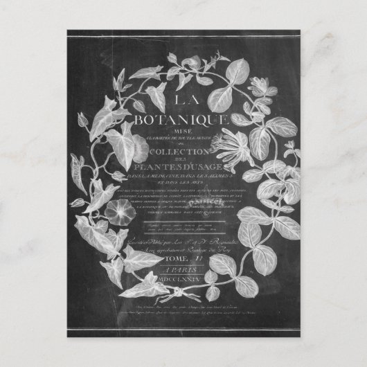 krijtbord scripts Franse botanische kunst ivy blad Briefkaart (Voorkant)