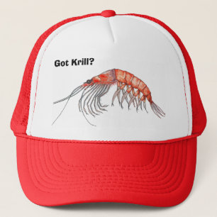 Krill Pet
