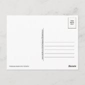 Krimbergen Oekraïne Briefkaart (Achterkant)