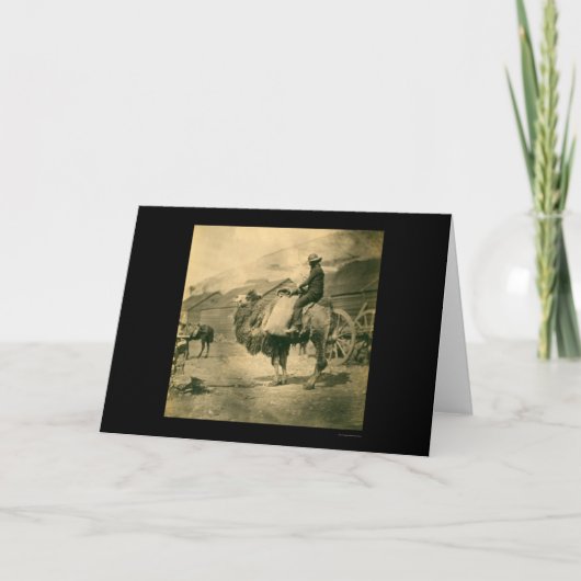Krimoorlog Soldaat op een kameel 1855 Kaart (Voorkant)
