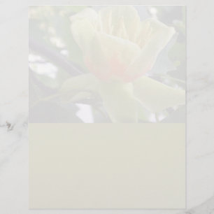 Kringlooppapier uit papierwaren van magnolia lette