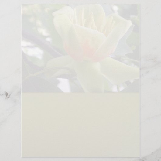 Kringlooppapier uit papierwaren van magnolia lette (Voorkant)