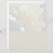 Kringlooppapier uit papierwaren van magnolia lette (Voorkant / Achterkant)