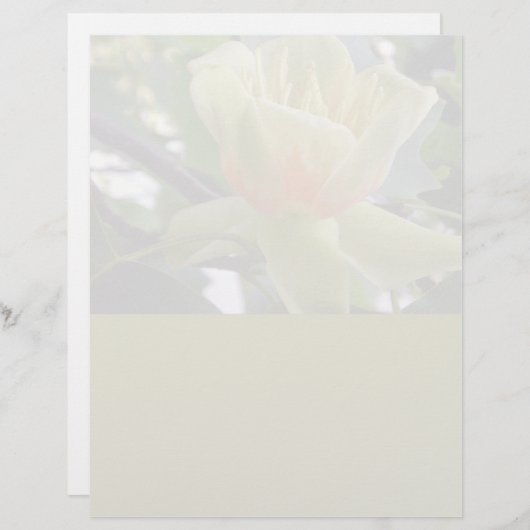 Kringlooppapier uit papierwaren van magnolia lette (Voorkant / Achterkant)