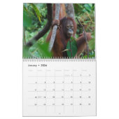 Krista Orangutan 2014 Fotografie in het wild Kalender (Jan 2026)