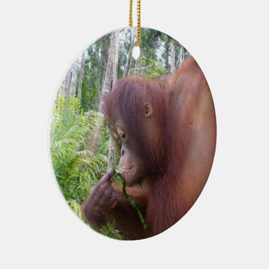 Krista Orangutan in Borneo Keramisch Ornament (Rechts)
