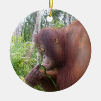 Krista Orangutan in Borneo Keramisch Ornament