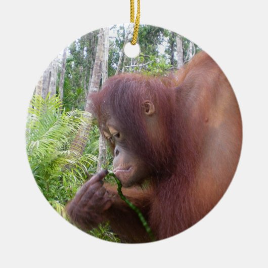 Krista Orangutan in Borneo Keramisch Ornament (Voorkant)