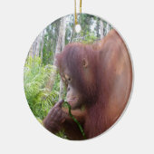 Krista Orangutan in Borneo Keramisch Ornament (Links)