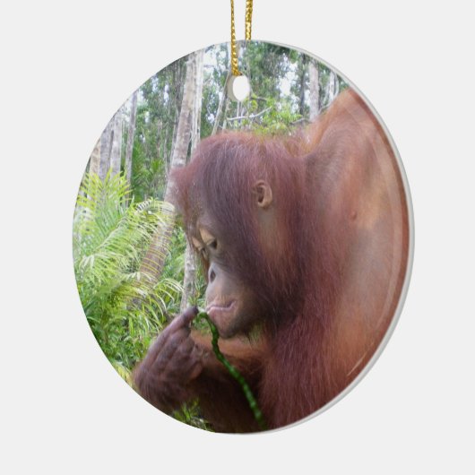 Krista Orangutan in Borneo Keramisch Ornament (Links)