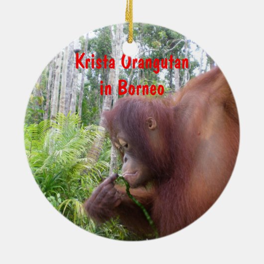 Krista Orangutan in Borneo Keramisch Ornament (Achterkant)