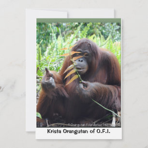 Krista Orangutan in Borneo Rainforest Blank Card Bedankkaart
