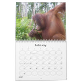 Krista Orangutan-kalender voor natuurbescherming Kalender (Feb 2027)