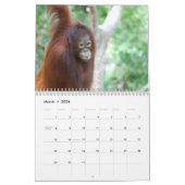 Krista Orangutan-kalender voor natuurbescherming Kalender (Mar 2026)