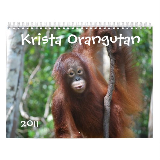 Krista Orangutan-kalender voor natuurbescherming Kalender (Hoes)