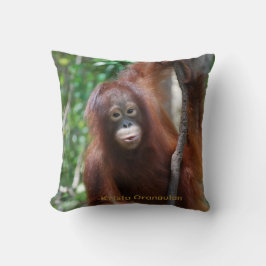 Krista Orangutan Kussen