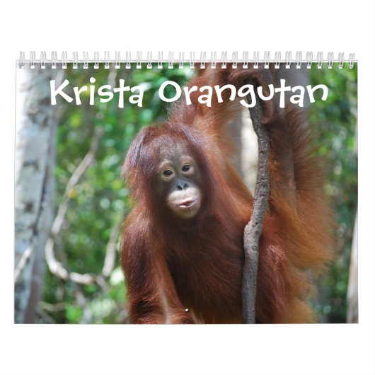 Krista Orangutan Oerwoud School Kalender (Hoes)