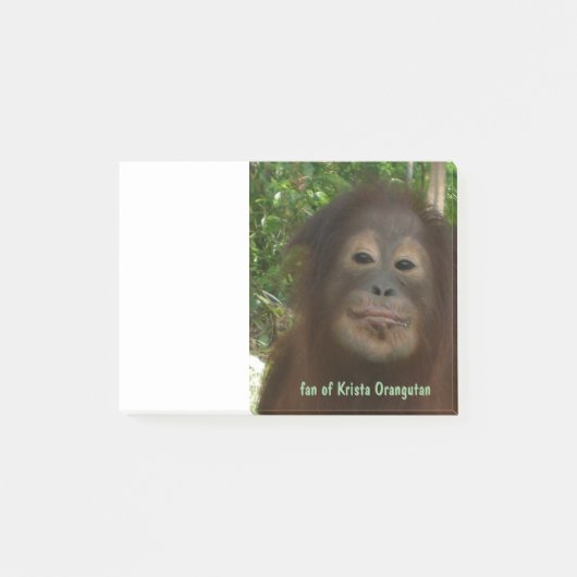 Krista Orangutan Post-it® Notes (Voorkant)