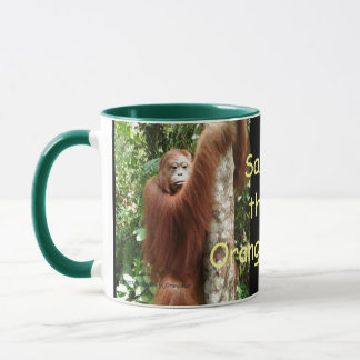 Krista Orangutan redt de orang-oetans Mok
