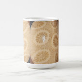 kristal gefossiliseerde koraal Mok (Center)