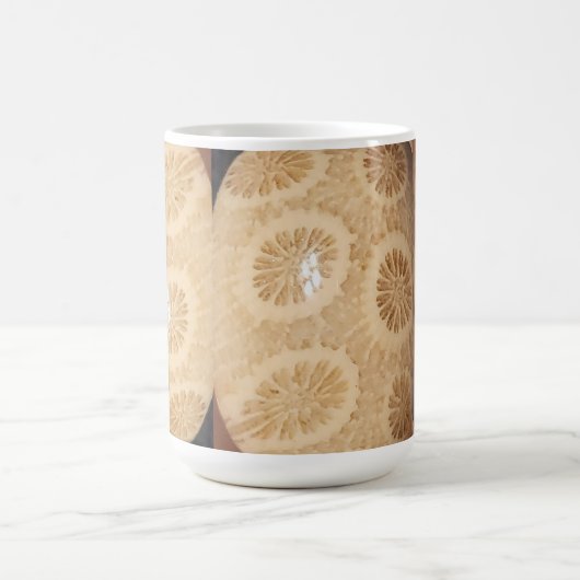 kristal gefossiliseerde koraal Mok (Center)