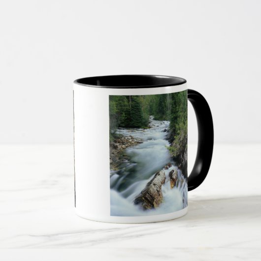 Kristal, Gunnison National Forest Mok (Voorkant rechts)