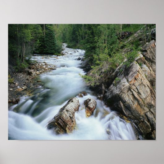 Kristal, Gunnison National Forest Poster (Voorkant)