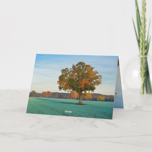 Kristalastes 3:11 Alle mooie dingen in zijn tijd Kaart (Achterkant)