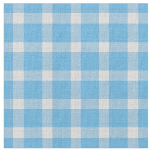 Kristalblauw en wit geruit gingham stof (Close Up)